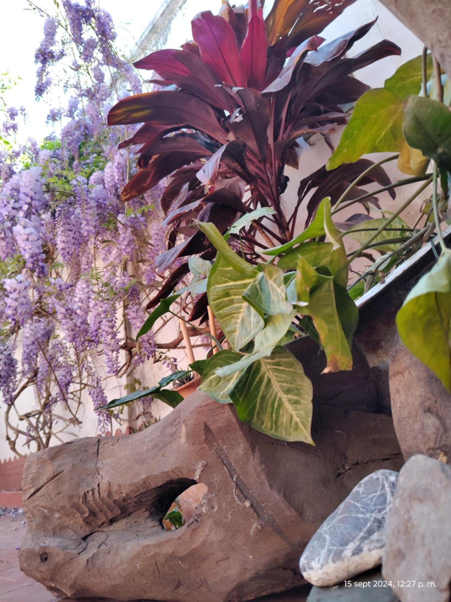 Casa Kuyay Villa San Salvador de Jujuy Ngoại thất bức ảnh